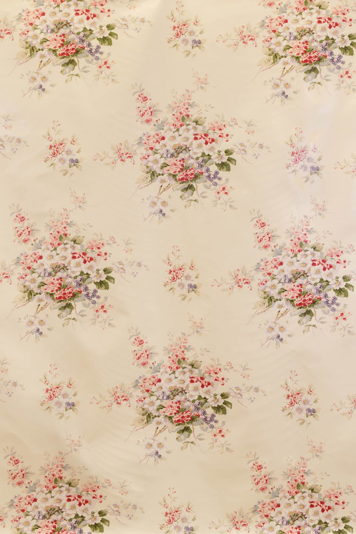 jm-816 cream_KINGSBERRY