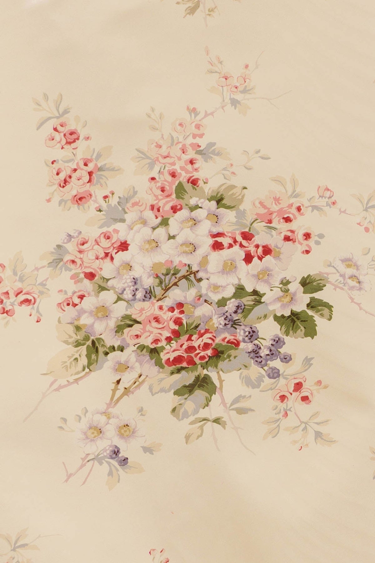 jm-816 cream_KINGSBERRY