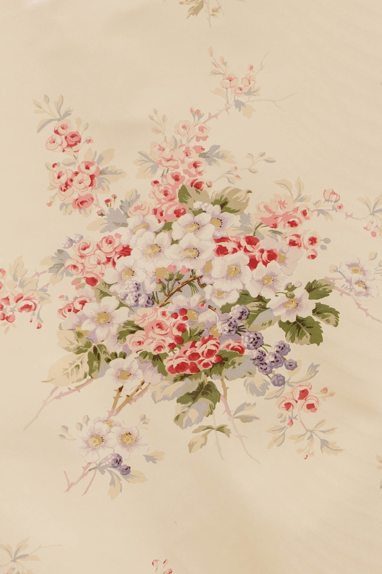 jm-816 cream_KINGSBERRY