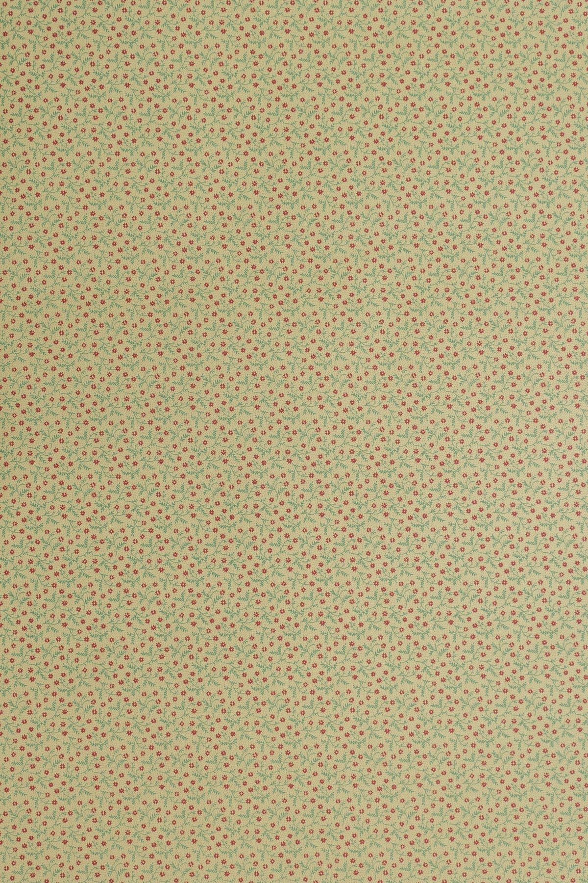 jmp-lizzie-01 teal/port_LIZZIE wallpaper