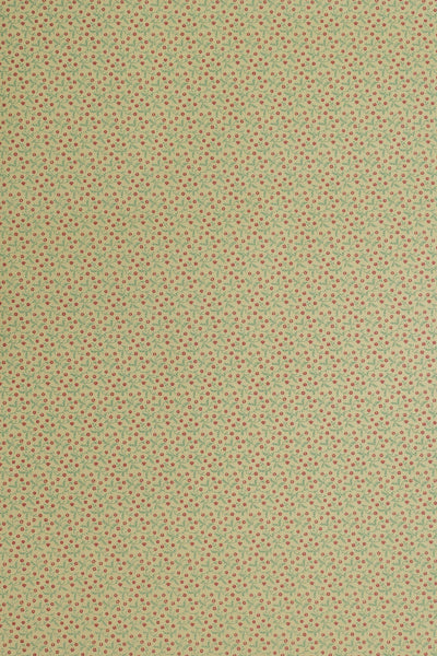 jmp-lizzie-01 teal/port_LIZZIE wallpaper