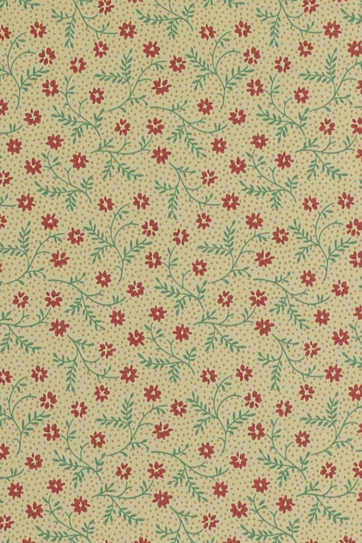 jmp-lizzie-01 teal/port_LIZZIE wallpaper