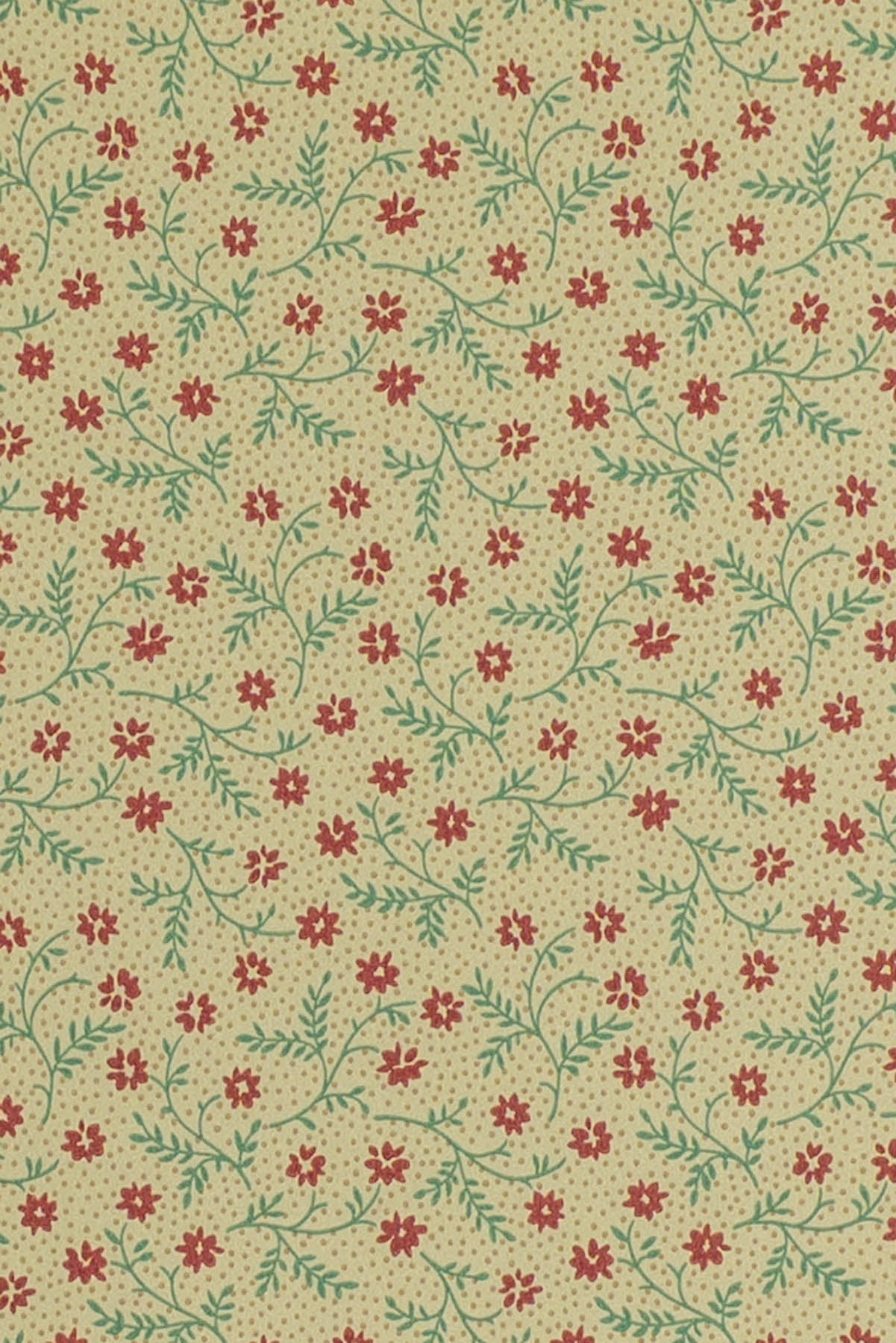 jmp-lizzie-01 teal/port_LIZZIE wallpaper