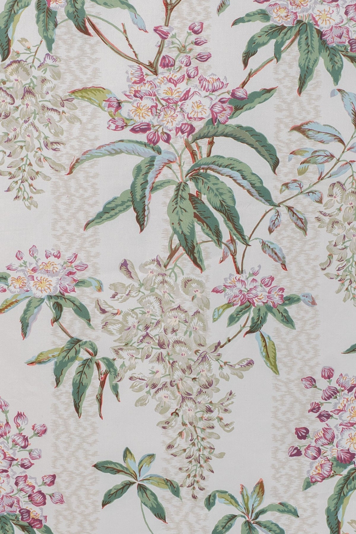 damson_LA GLYCINE