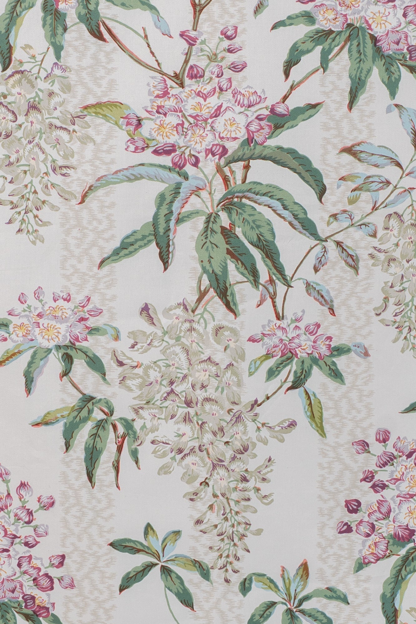 damson_LA GLYCINE