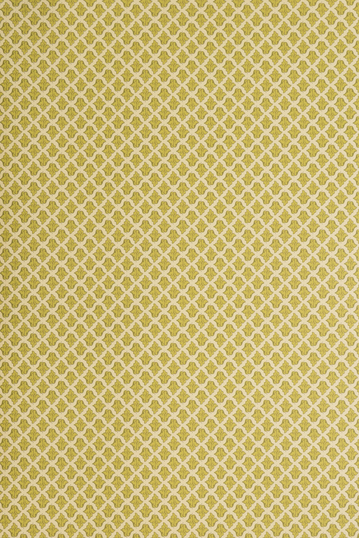jmp-lan-05 chartreuse_LANCASTER wallpaper