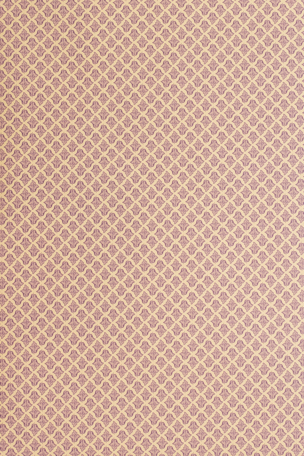 jmp-lan-08 violet cream_LANCASTER wallpaper