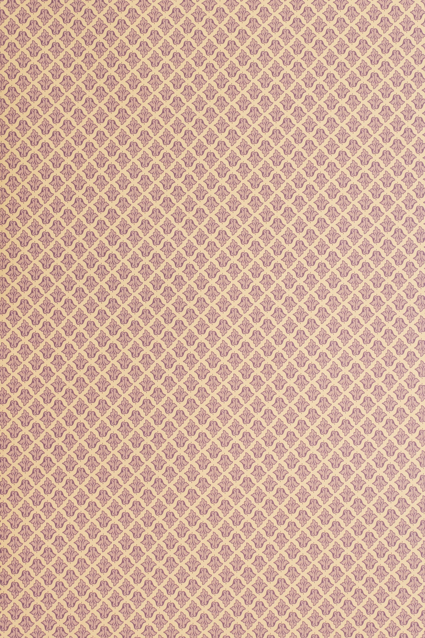 jmp-lan-08 violet cream_LANCASTER wallpaper