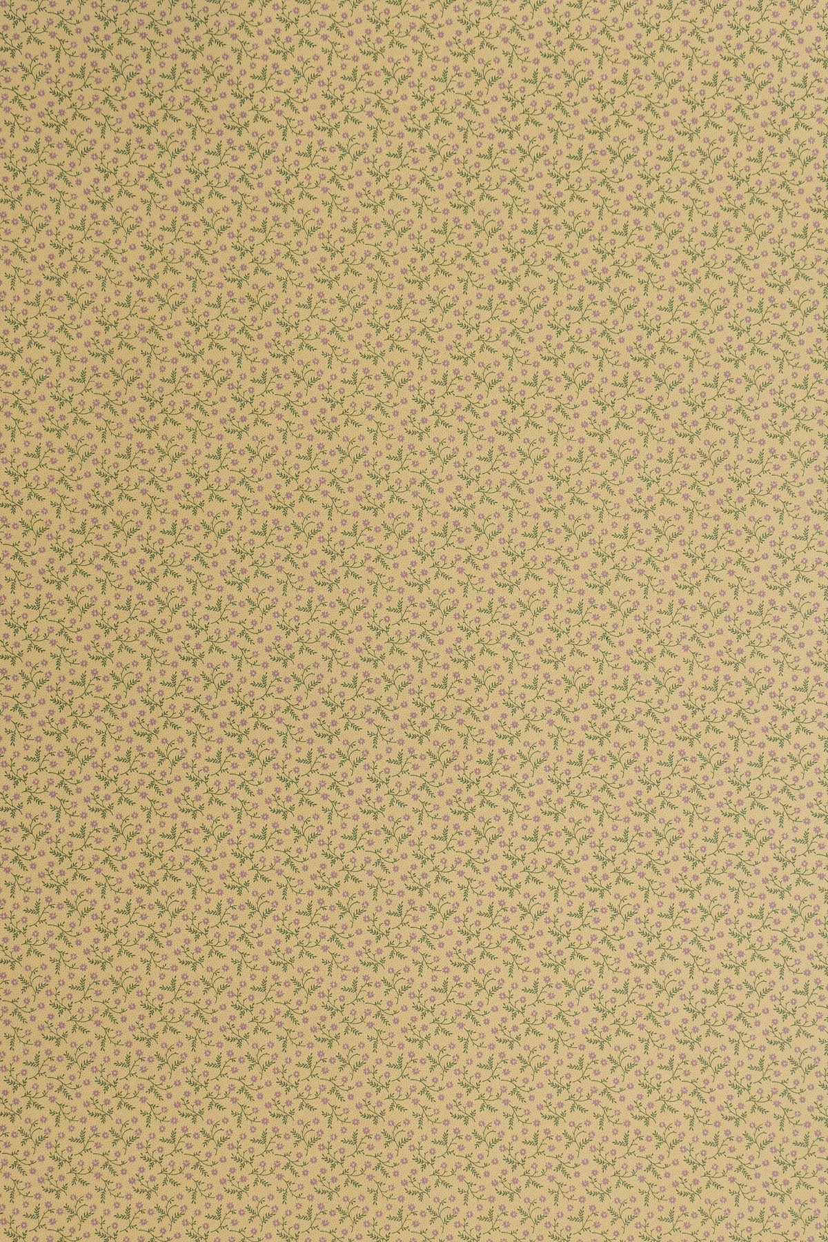jmp-lizzie-02 forest/lilac_LIZZIE wallpaper