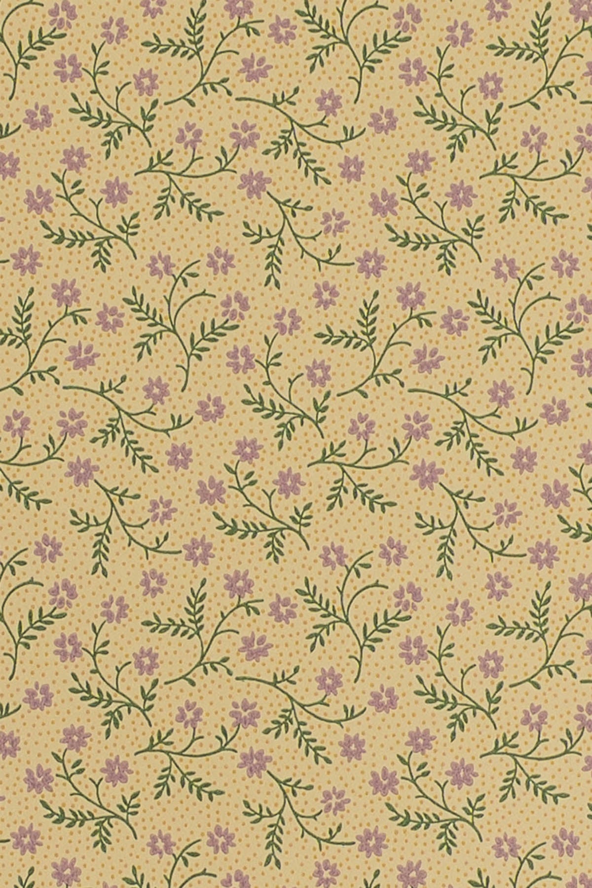jmp-lizzie-02 forest/lilac_LIZZIE wallpaper