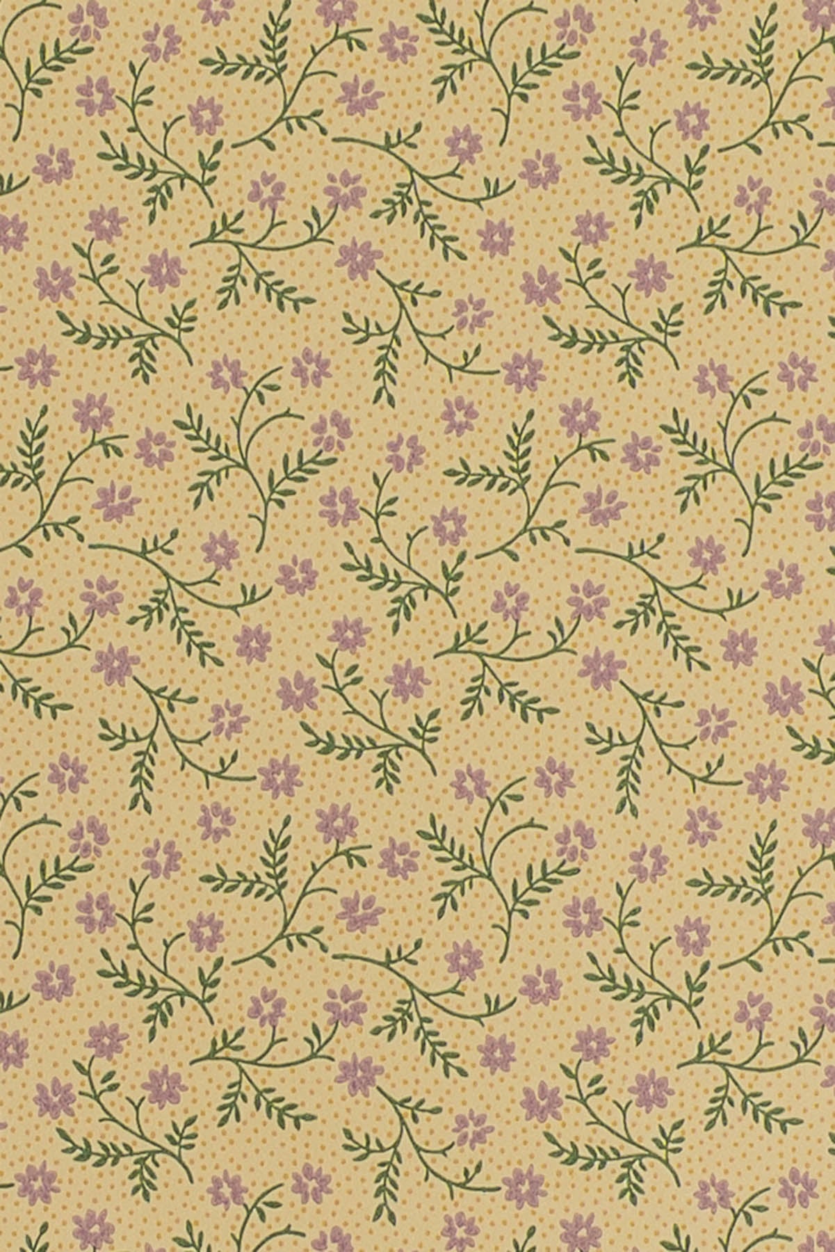 jmp-lizzie-02 forest/lilac_LIZZIE wallpaper