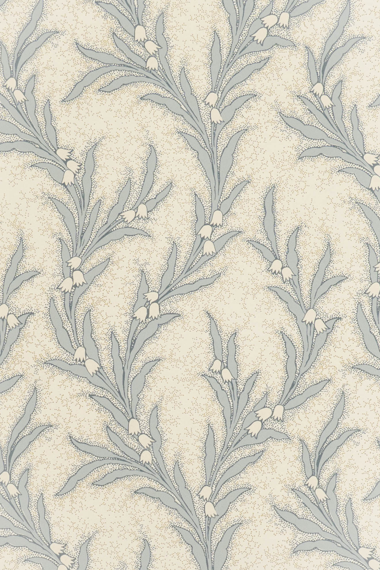 jmp-may-03 shutter_MAYBELL wallpaper