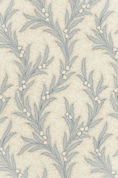 jmp-may-03 shutter_MAYBELL wallpaper