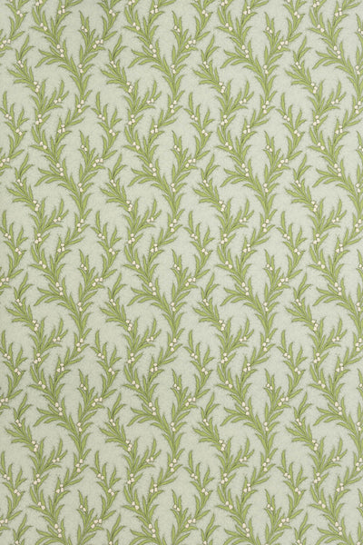 jmp-may-04 spring_MAYBELL wallpaper