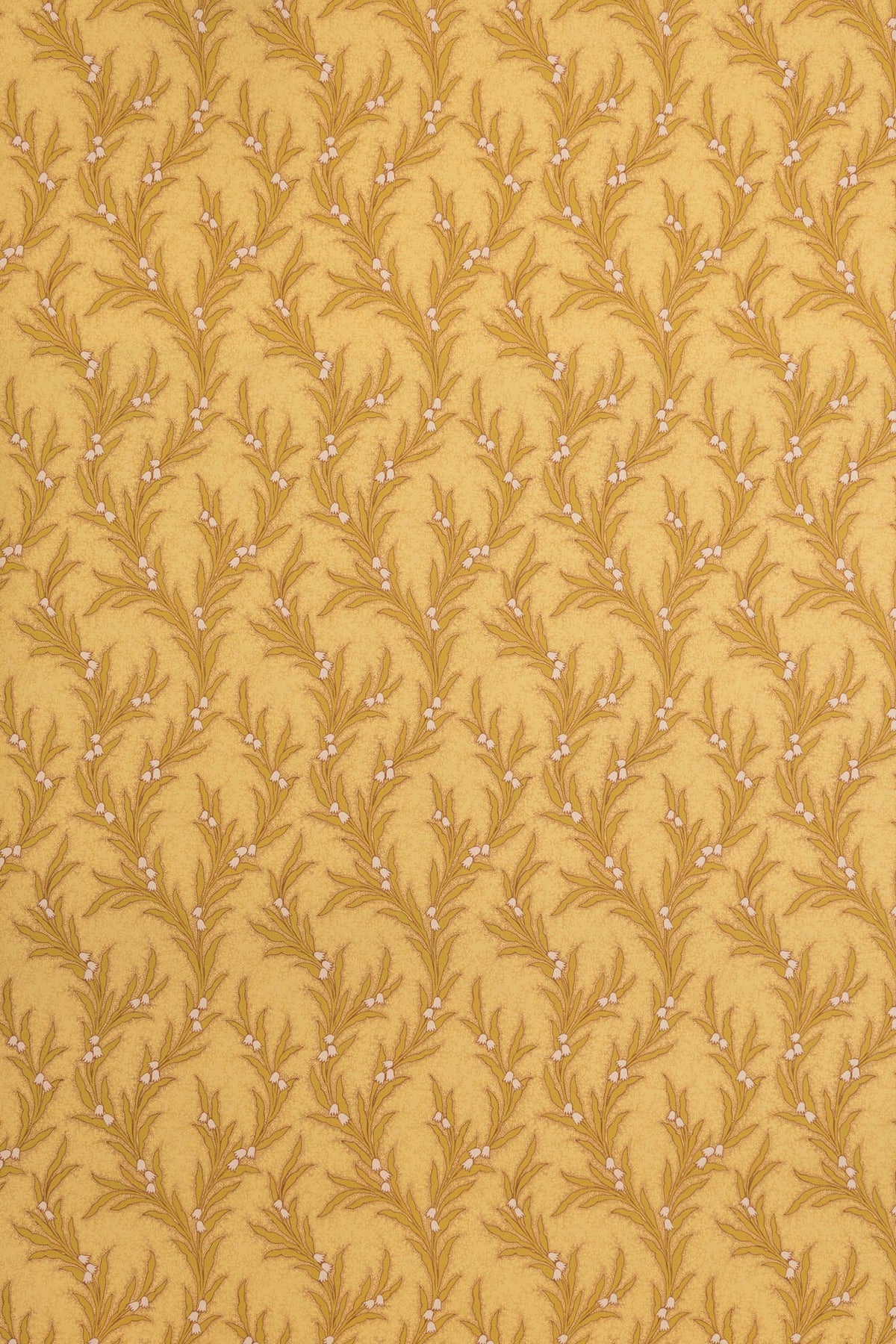 jmp-may-01 hay_MAYBELL wallpaper