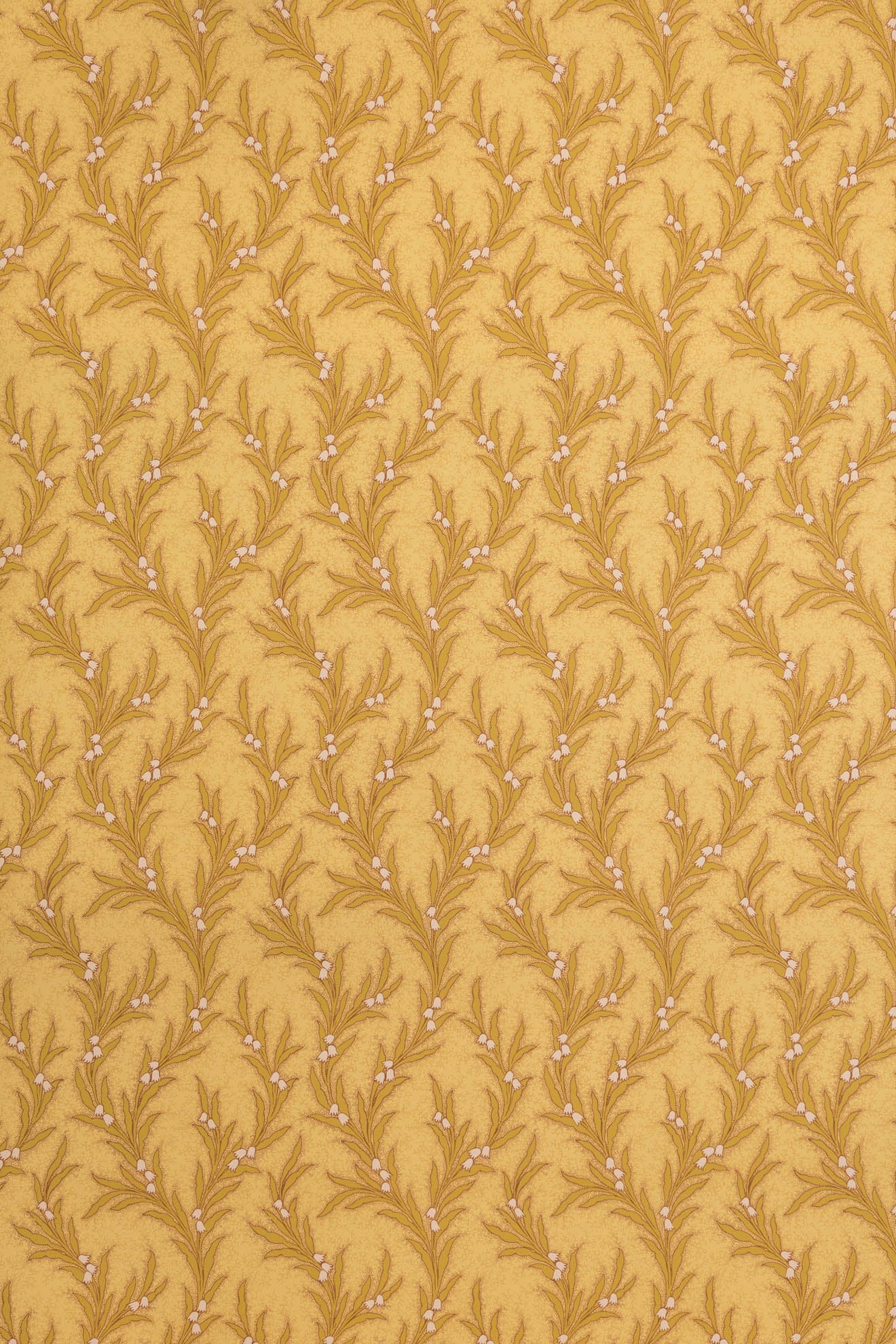 jmp-may-01 hay_MAYBELL wallpaper