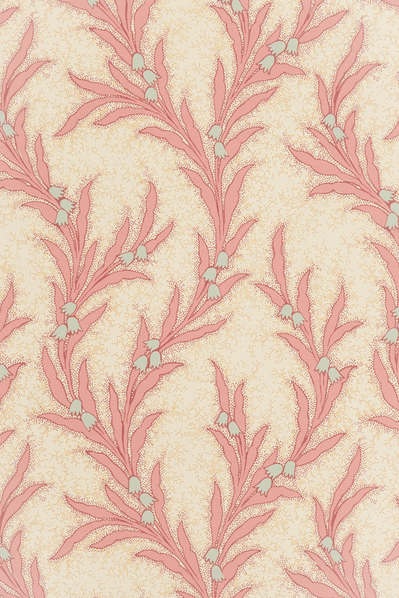 jmp-may-02 shell_MAYBELL wallpaper