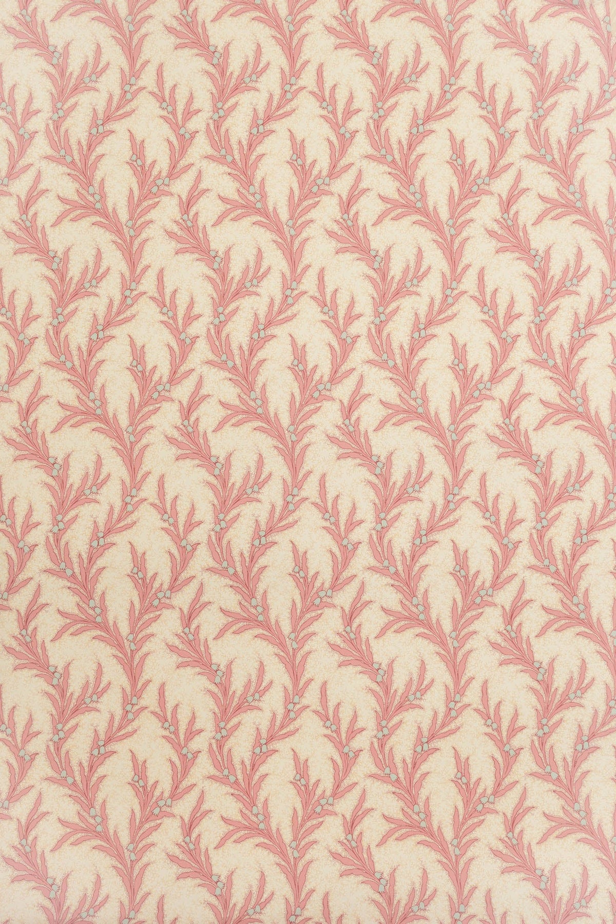 jmp-may-02 shell_MAYBELL wallpaper