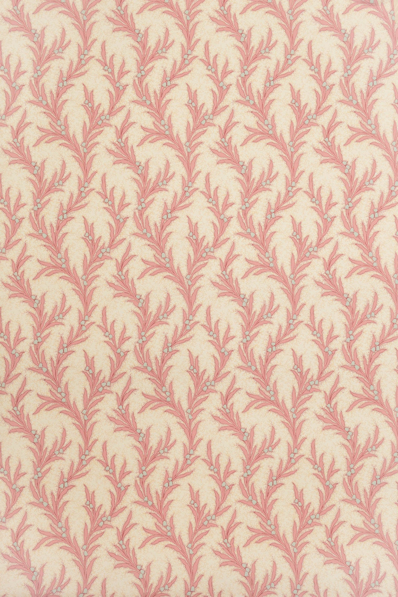 jmp-may-02 shell_MAYBELL wallpaper
