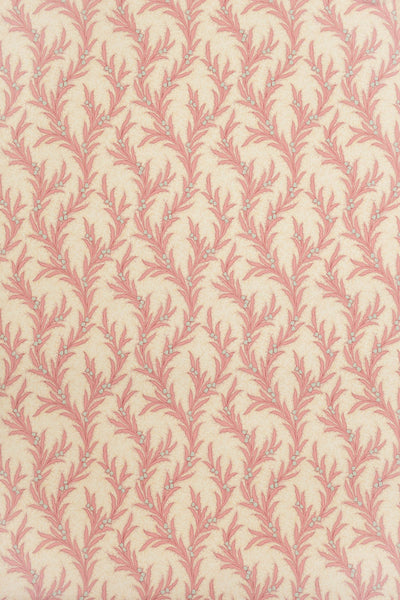jmp-may-02 shell_MAYBELL wallpaper