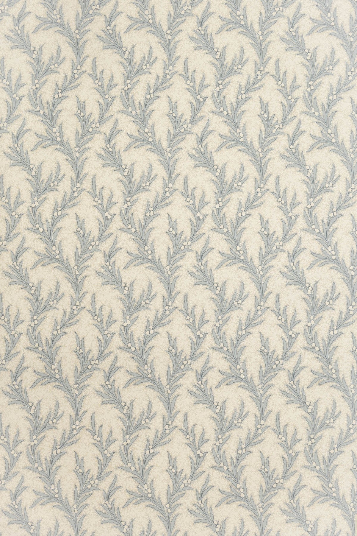 jmp-may-03 shutter_MAYBELL wallpaper