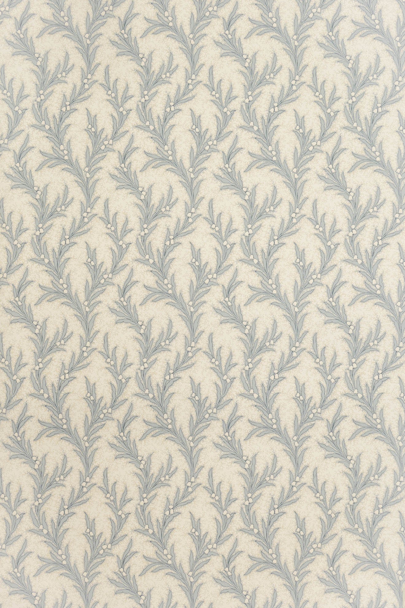 jmp-may-03 shutter_MAYBELL wallpaper
