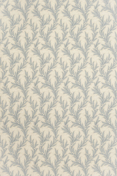 jmp-may-03 shutter_MAYBELL wallpaper