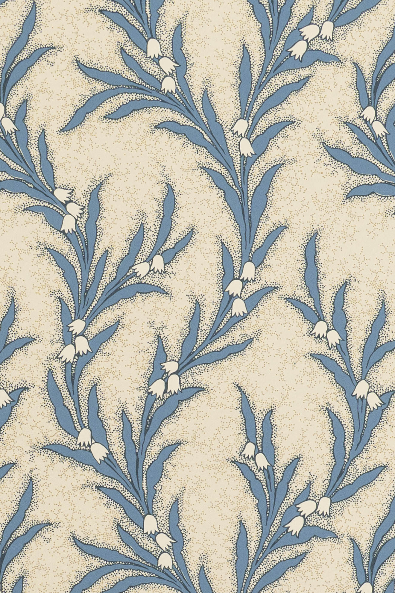 jmp-may-06 blue jay_MAYBELL wallpaper