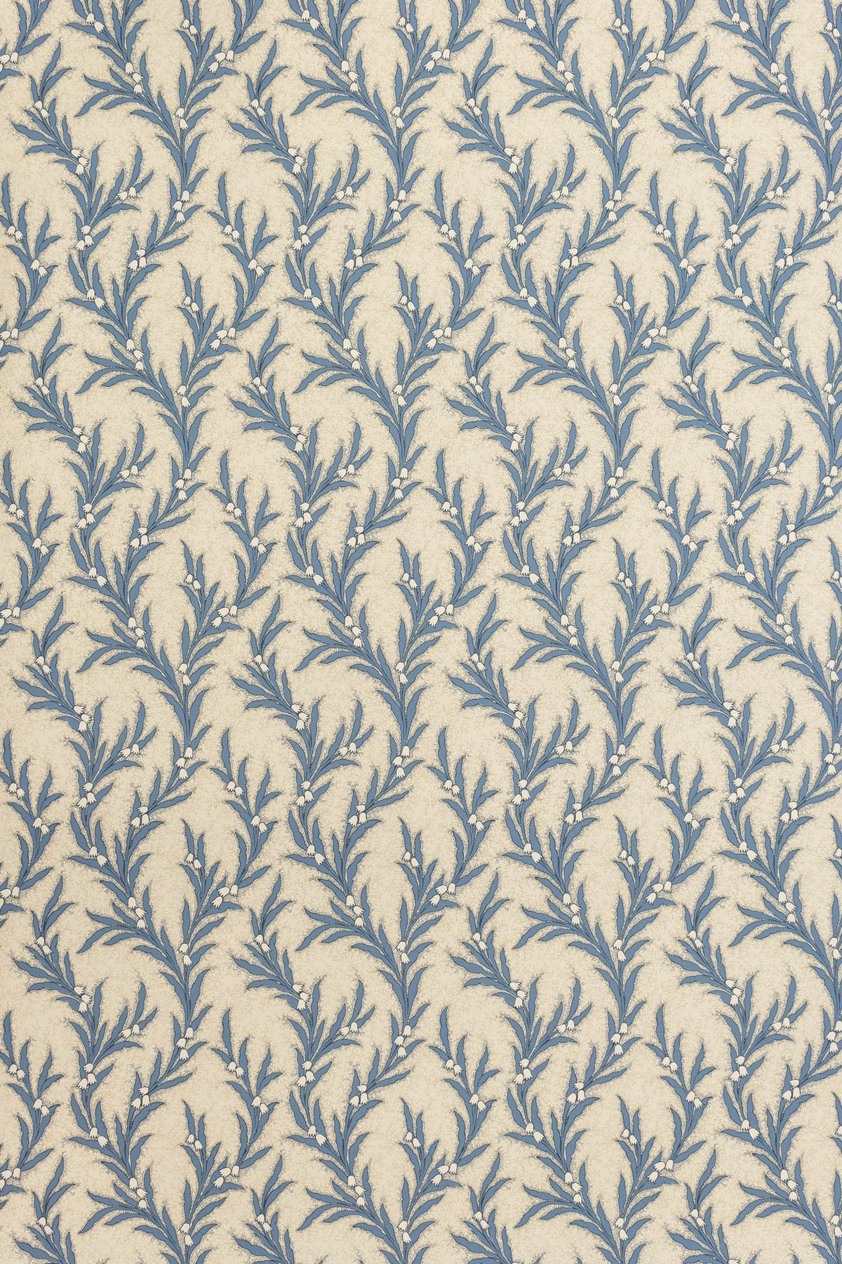jmp-may-06 blue jay_MAYBELL wallpaper