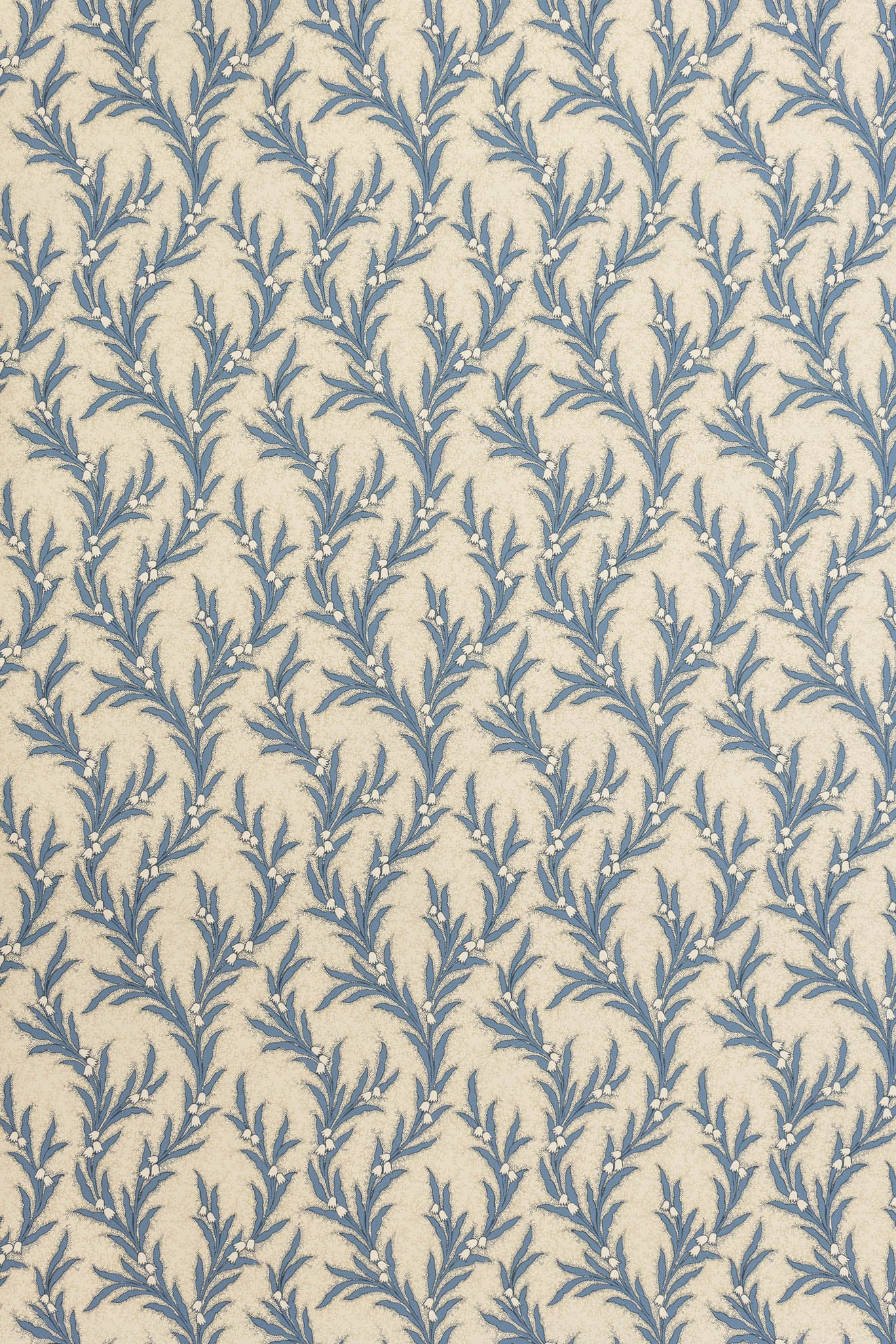 jmp-may-06 blue jay_MAYBELL wallpaper