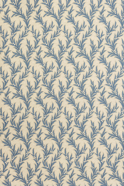 jmp-may-06 blue jay_MAYBELL wallpaper