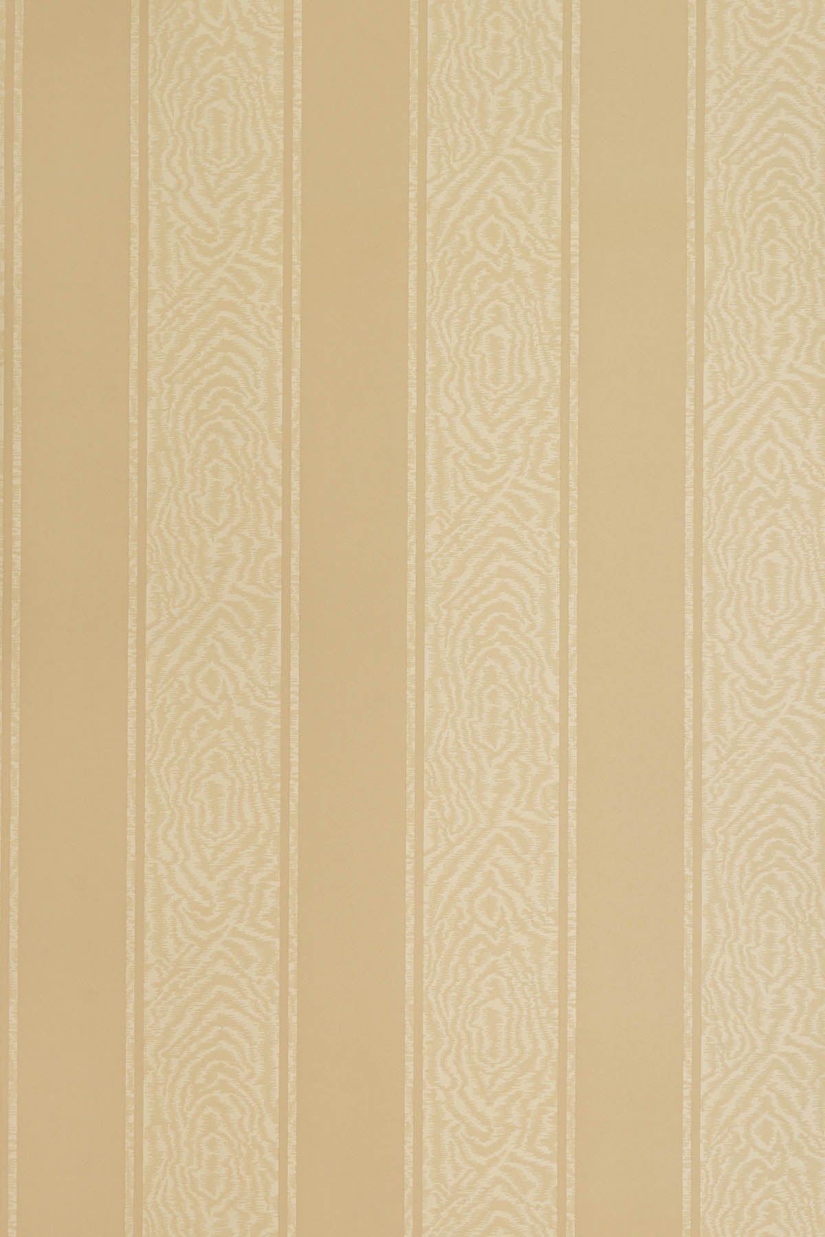 JMP-MOIRE-03 coffee_Moire