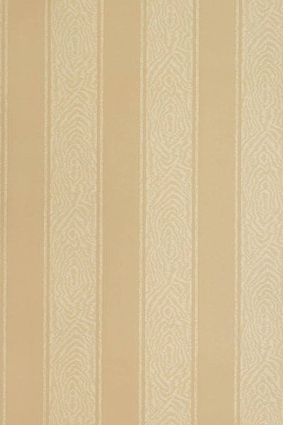 JMP-MOIRE-03 coffee_Moire