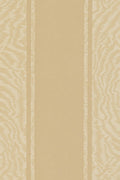 JMP-MOIRE-03 coffee