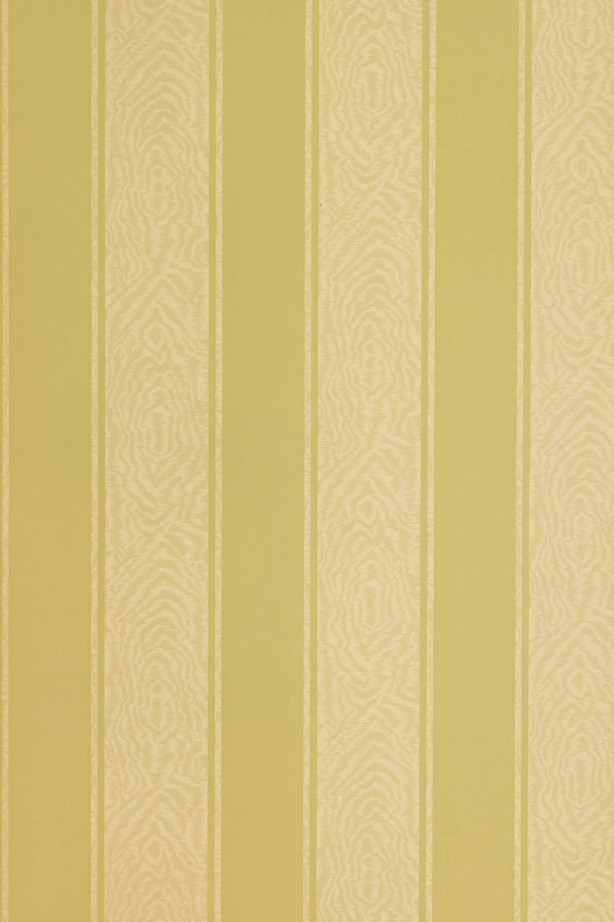 JMP-MOIRE-05 avocado_Moire