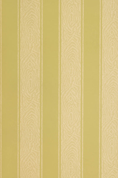JMP-MOIRE-05 avocado_Moire