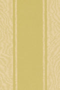JMP-MOIRE-05 avocado