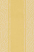 JMP-MOIRE-01 primrose