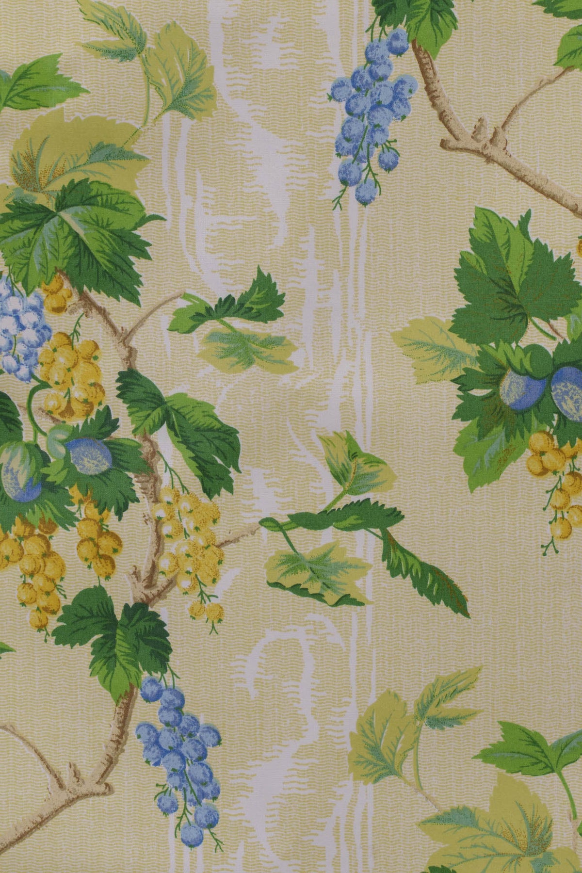 jm-1027 citrus blueberry_NUTS & BERRIES