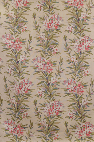 jm-1162 rose_OLEANDER