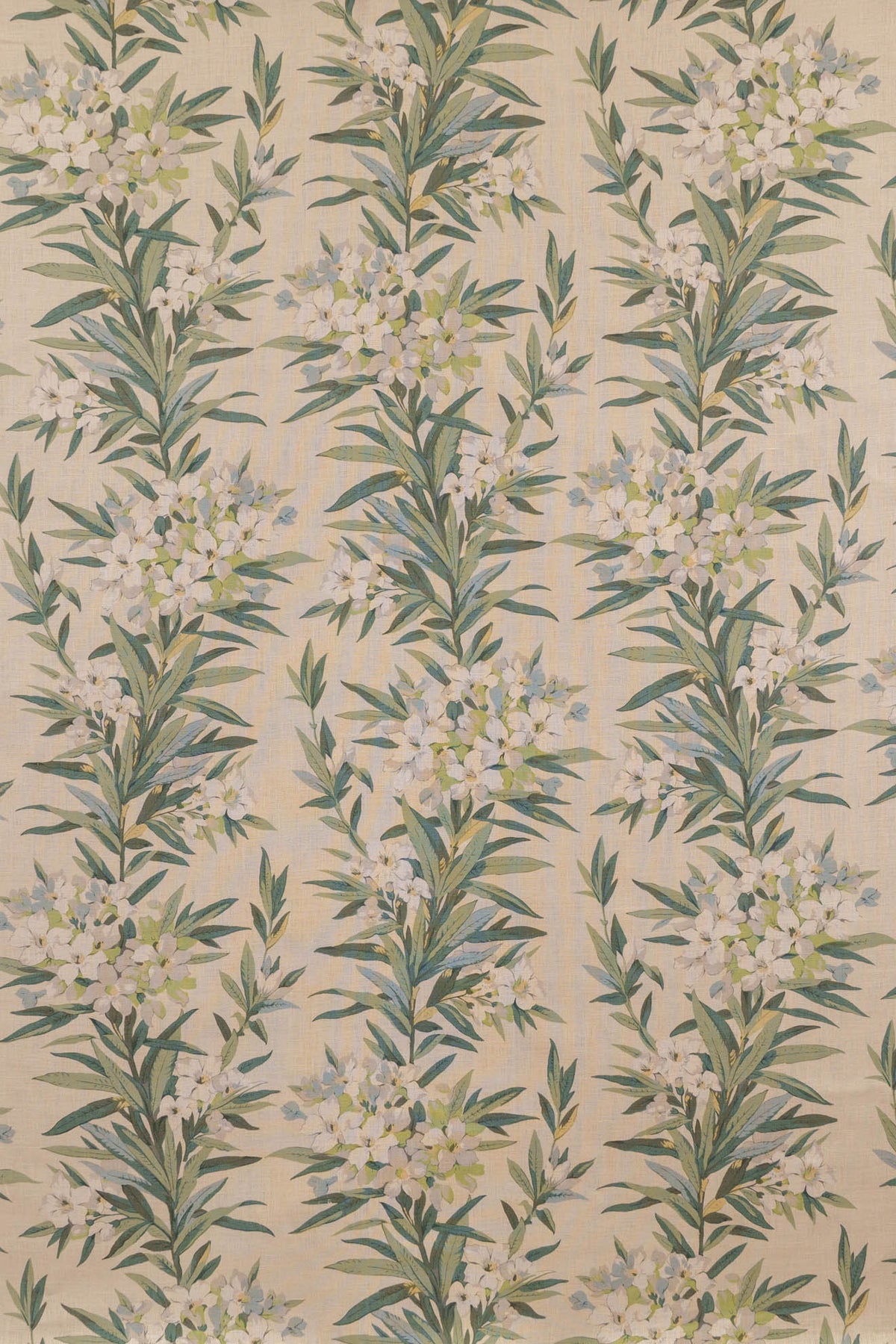 jm-1160 green_OLEANDER