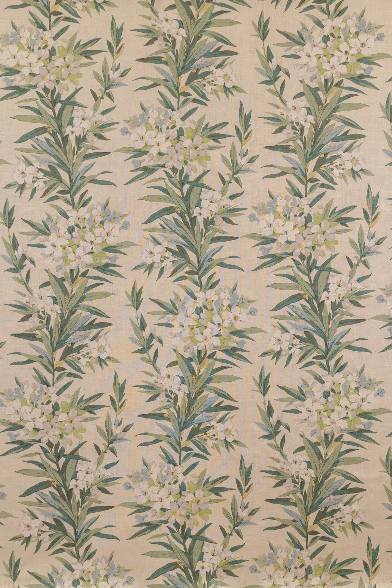 jm-1160 green_OLEANDER