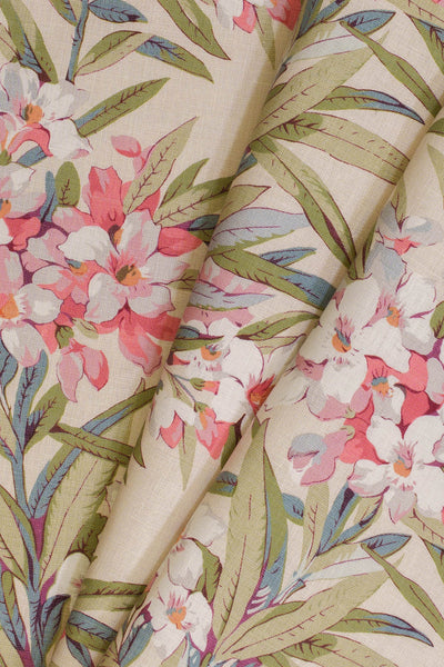 jm-1162 rose_OLEANDER