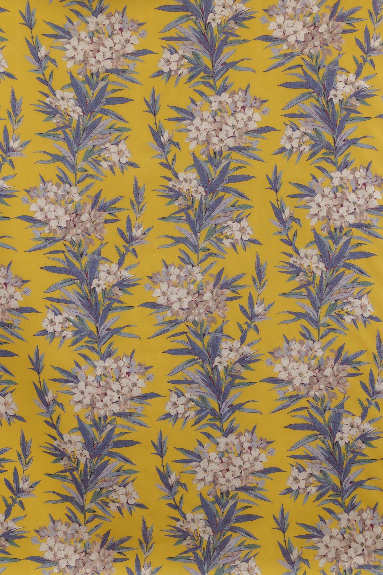 jm-1163 canary_OLEANDER