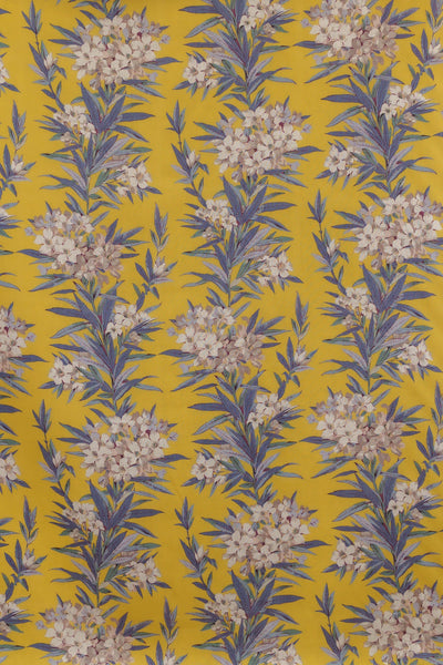 jm-1163 canary_OLEANDER