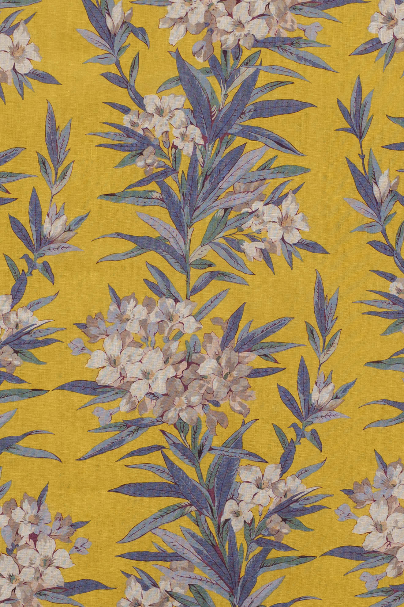 jm-1163 canary_OLEANDER