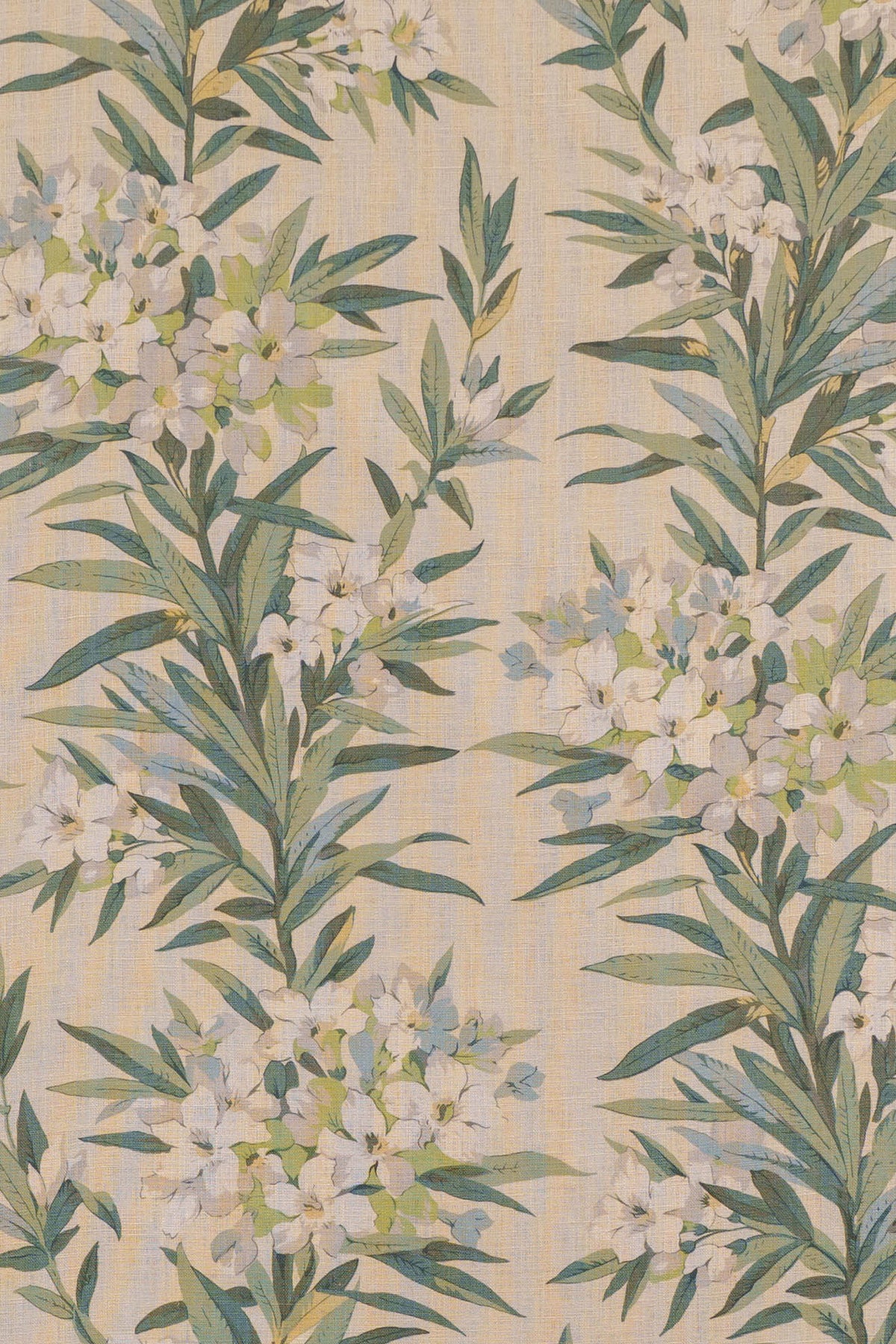 jm-1160 green_OLEANDER