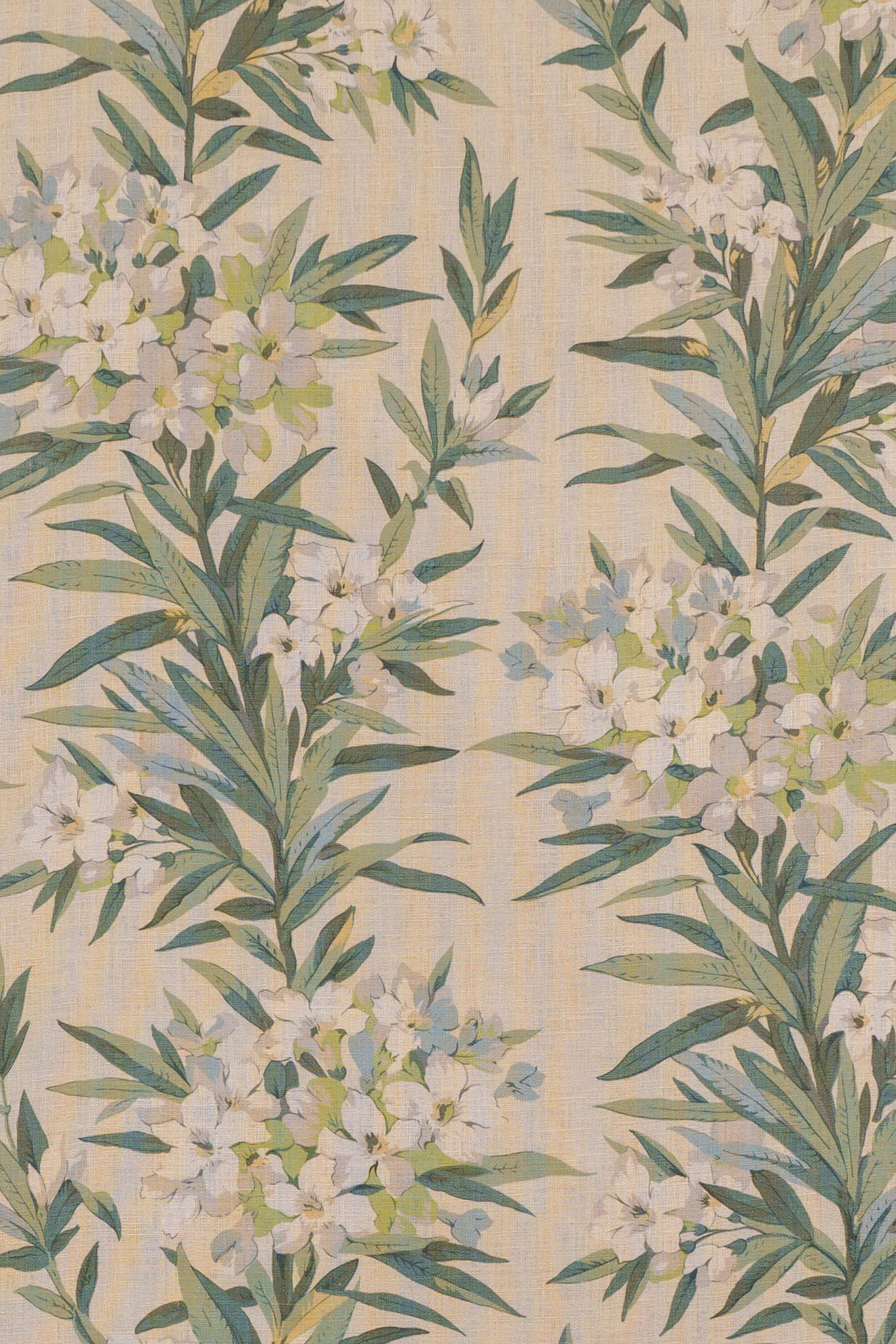 jm-1160 green_OLEANDER