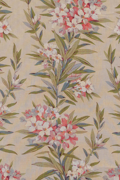 jm-1162 rose_OLEANDER