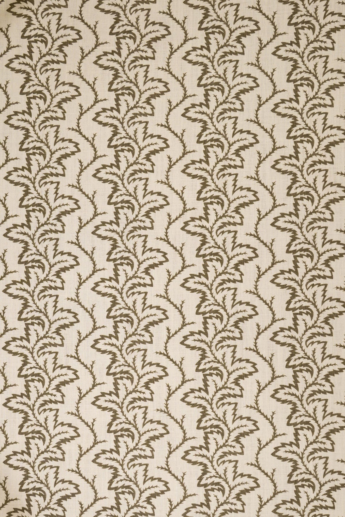 9- green olive_SEAFERN